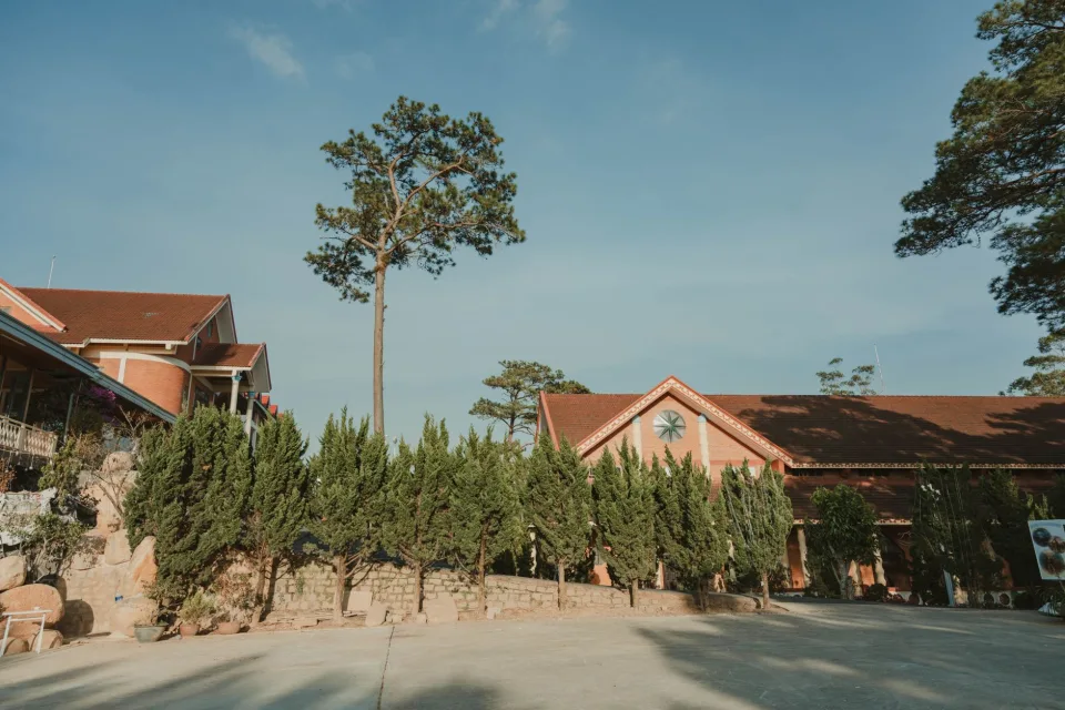 Giường và gối sạch